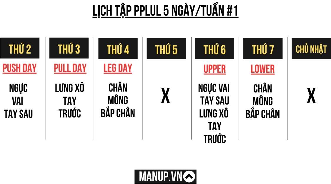 lịch tập gym ppul 5 ngày