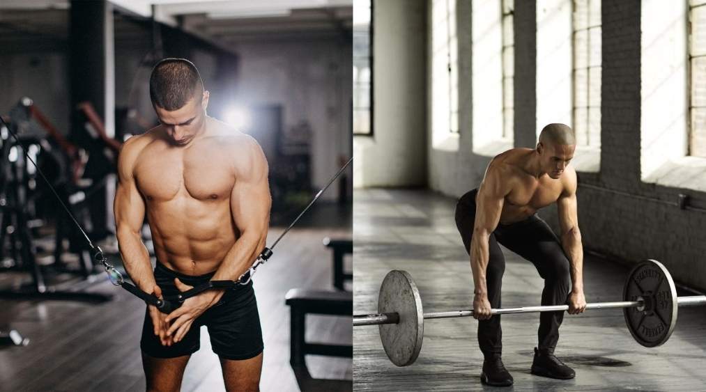 lịch tập gym ppul 5 ngày